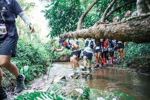 BIB: 
                            <button type="button" onclick="openModal(25475840)" class="btn btn-primary btn-sm float-right btn-popup" data-toggle="modal" data-target=".modal-high-quality">
                        <i class="fas fa-shopping-cart"></i> Add to Cart
                    </button>
                                            <button type="button" onclick="isThisMe(25475840, true)" class="btn btn-success btn-sm float-right btn-popup btn-isme hidden" data-toggle="tooltip" data-placement="bottom" title="นี่คือรูปของคุณใช่ไหม คลิกที่นี่เพื่อเอาเข้าอัลบั้ม">
                        <i class="fas fa-plus"></i> Add to album
                    </button>
                    <button type="button" onclick="isThisMe(25475840, false)" class="btn btn-warning btn-sm float-right btn-popup btn-isnotme hidden">
                        <i class="fas fa-ban"></i> Remove from album
                    </button>